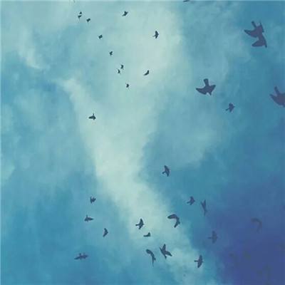 威尼斯官方网址下载