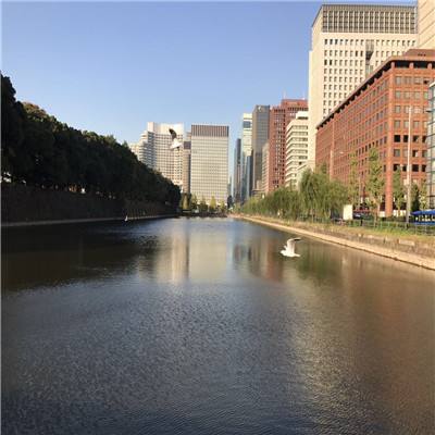 ROR体育官网登录入口