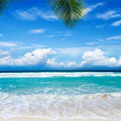 麻将胡了app下载手机版