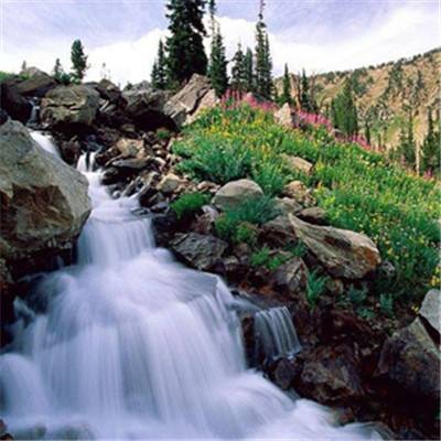 365在线手机app下载