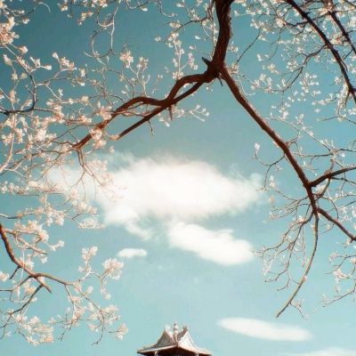 可以试玩cq9电子的网页game